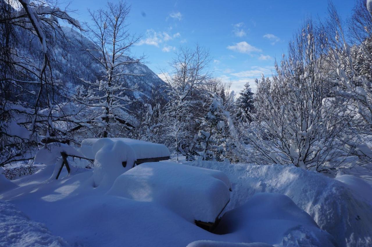 Haus Sonnenblick Hotel Bayrischzell Zewnętrze zdjęcie
